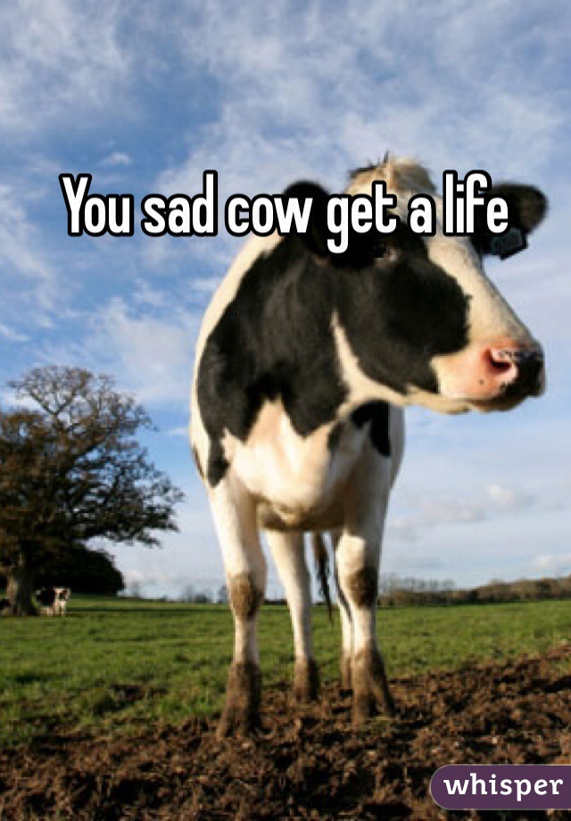 You sad cow get a life