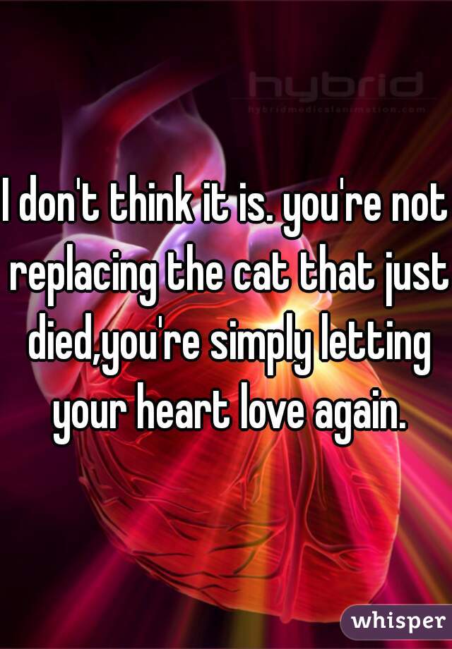 I don't think it is. you're not replacing the cat that just died,you're simply letting your heart love again.