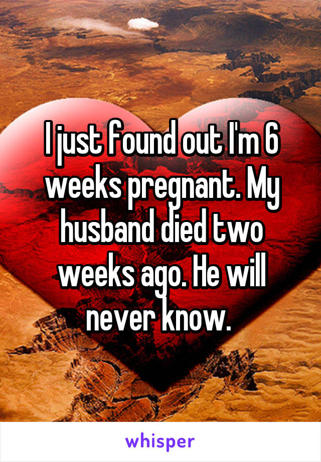 I just found out I'm 6 weeks pregnant. My husband died two weeks ago. He will never know. 