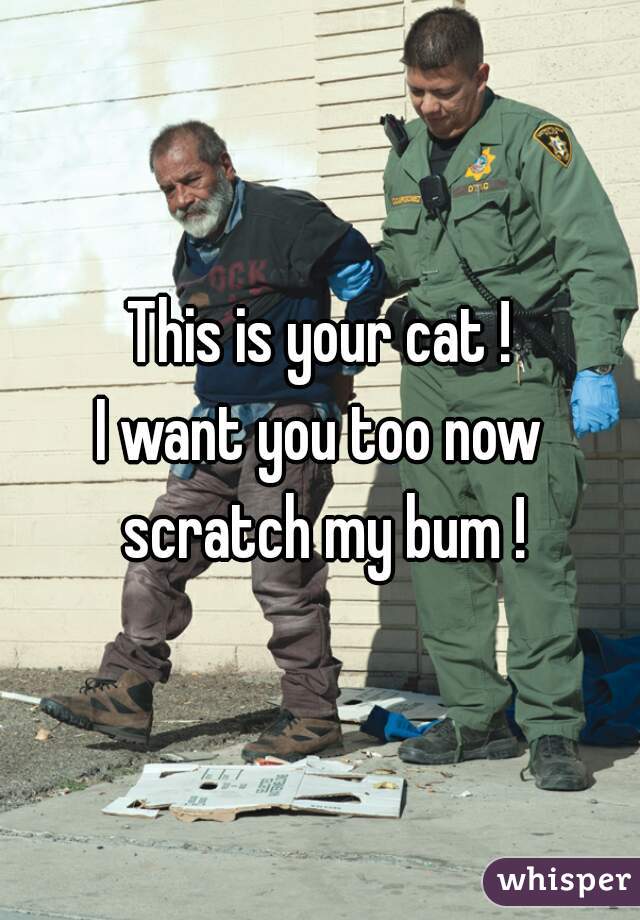 This is your cat !

I want you too now scratch my bum !