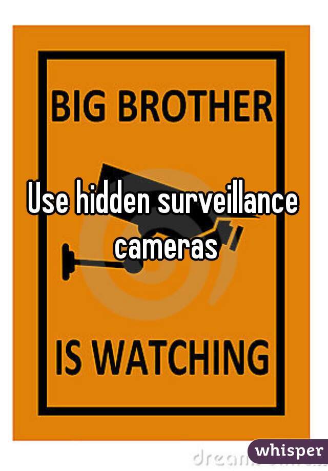 Use hidden surveillance cameras