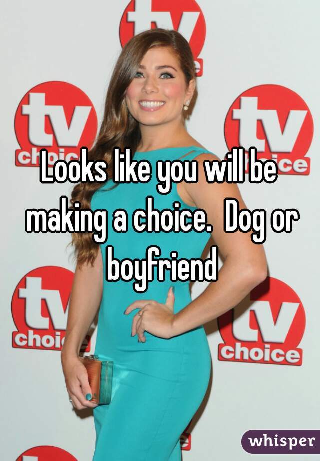 Looks like you will be making a choice.  Dog or boyfriend
