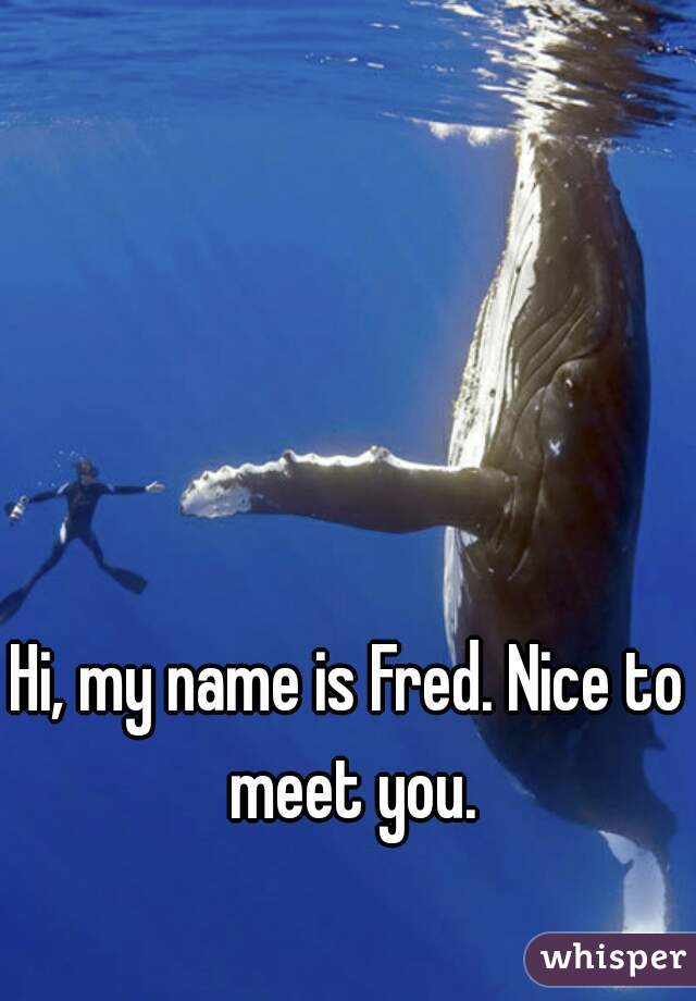 Hi, my name is Fred. Nice to meet you.