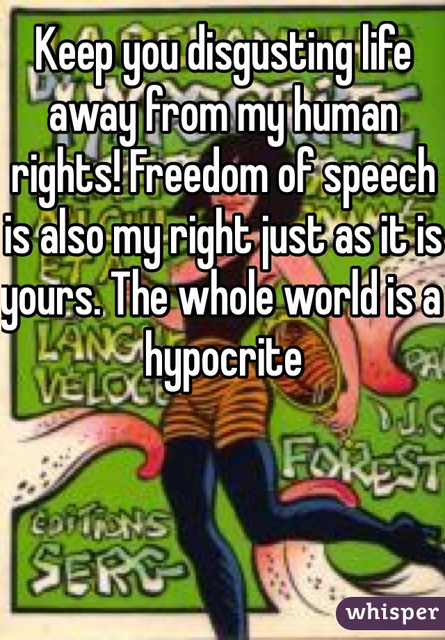 Keep you disgusting life away from my human rights! Freedom of speech is also my right just as it is yours. The whole world is a hypocrite 
