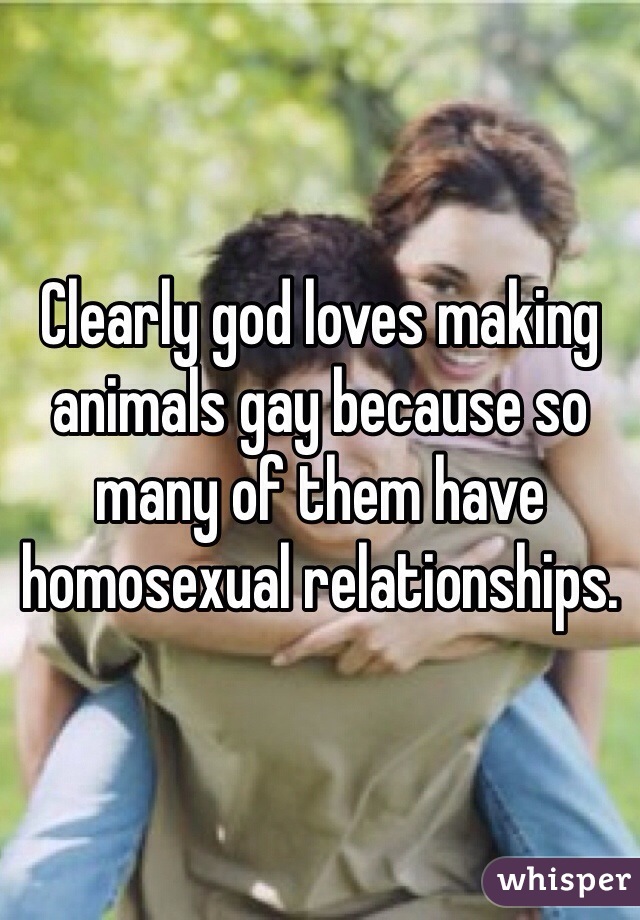 Clearly god loves making animals gay because so many of them have homosexual relationships. 