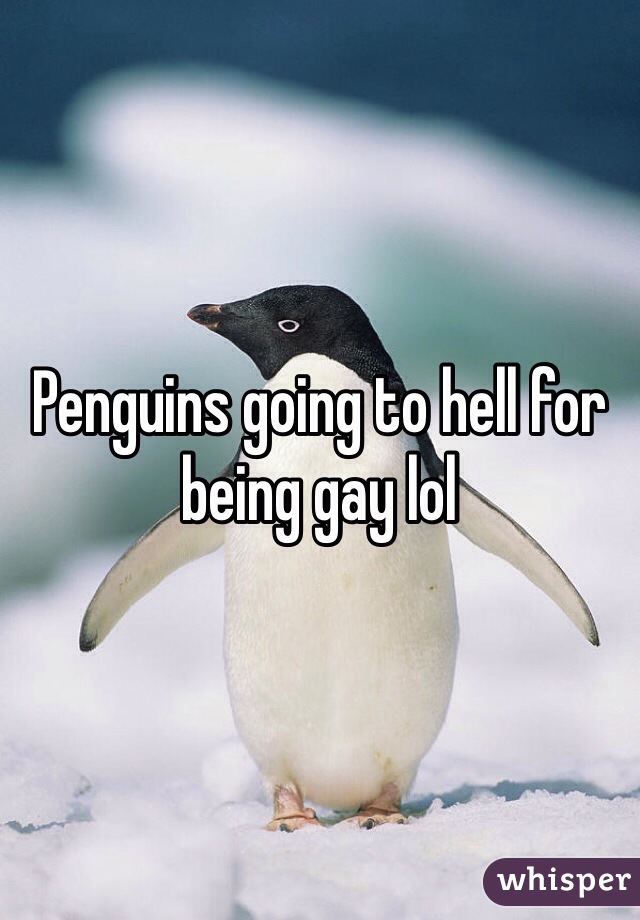 Penguins going to hell for being gay lol