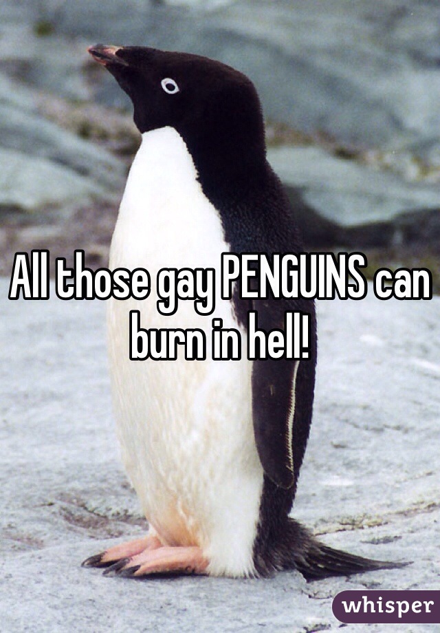 All those gay PENGUINS can burn in hell! 