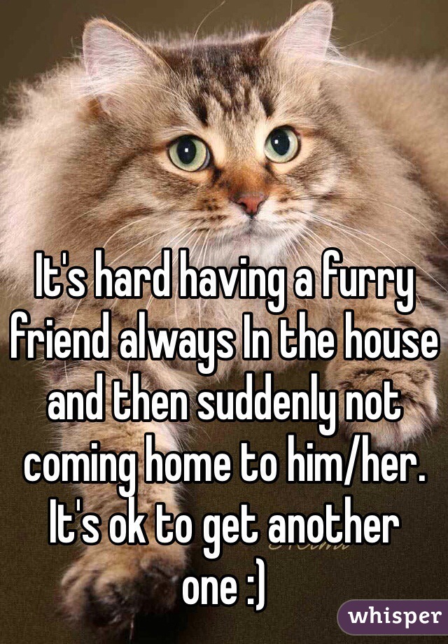 It's hard having a furry friend always In the house and then suddenly not coming home to him/her. It's ok to get another one :) 