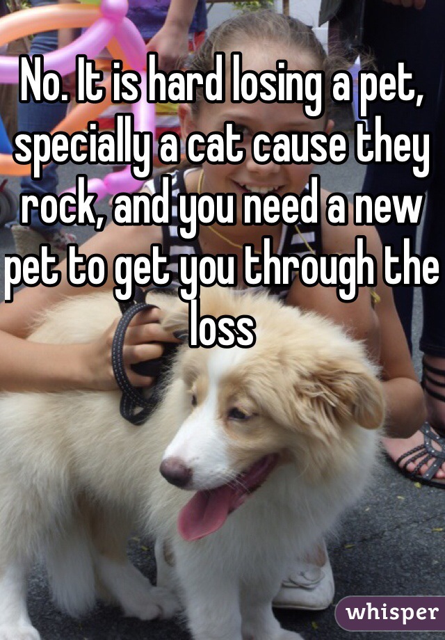 No. It is hard losing a pet, specially a cat cause they rock, and you need a new pet to get you through the loss
