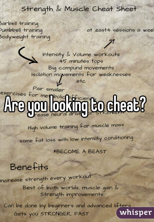 Are you looking to cheat? 