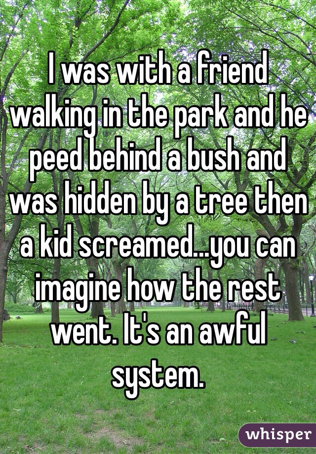I was with a friend walking in the park and he peed behind a bush and was hidden by a tree then a kid screamed...you can imagine how the rest went. It's an awful system. 