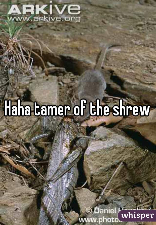 Haha tamer of the shrew
