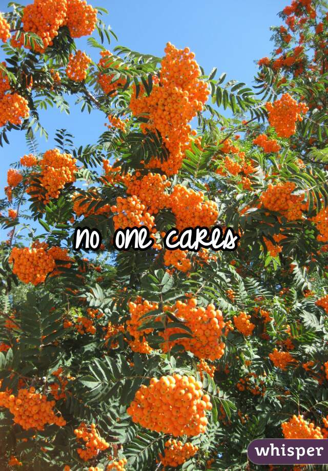 no one cares 