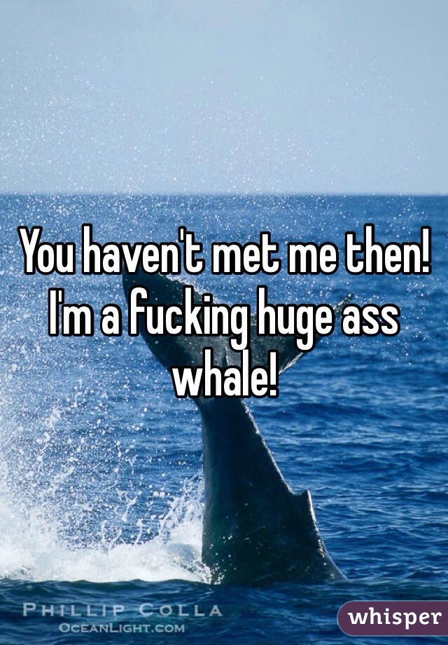 You haven't met me then! I'm a fucking huge ass whale! 