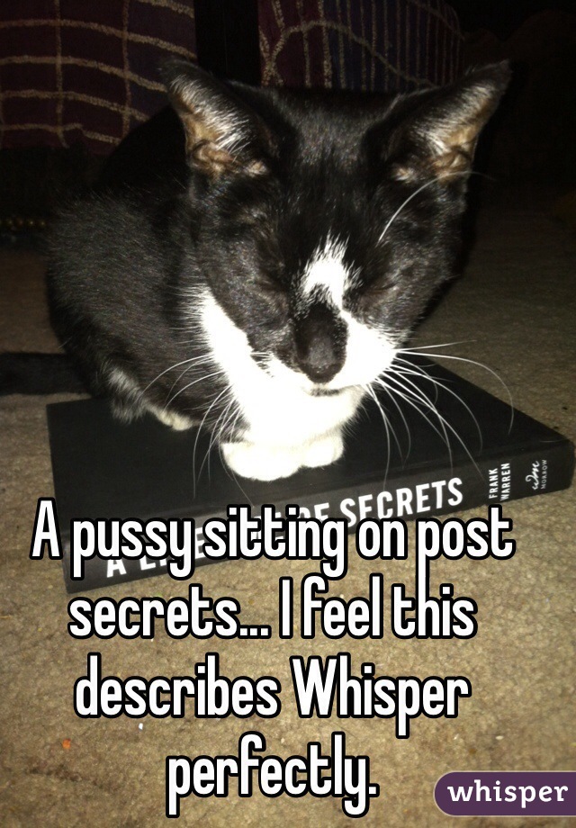 A pussy sitting on post secrets... I feel this describes Whisper perfectly. 