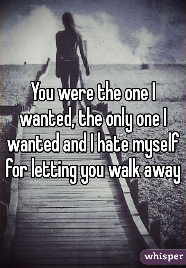 You were the one I wanted, the only one I wanted and I hate myself for letting you walk away