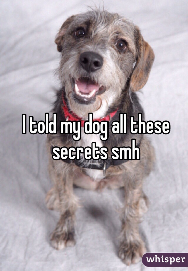 I told my dog all these secrets smh 