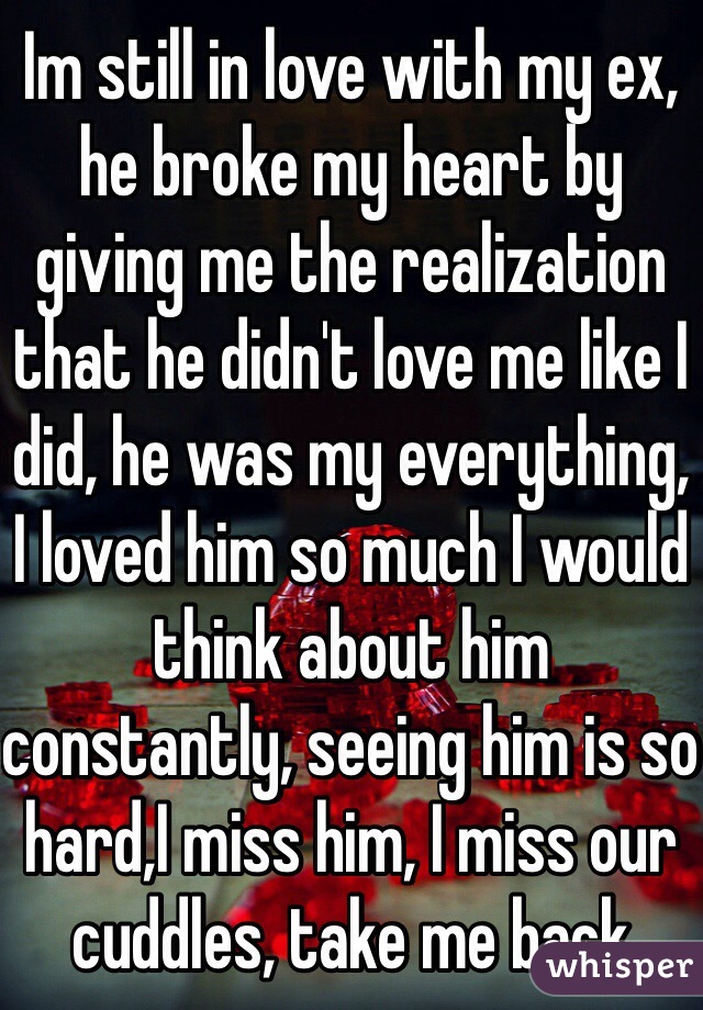 Im still in love with my ex, he broke my heart by giving me the realization that he didn't love me like I did, he was my everything, I loved him so much I would think about him constantly, seeing him is so hard,I miss him, I miss our cuddles, take me back 
