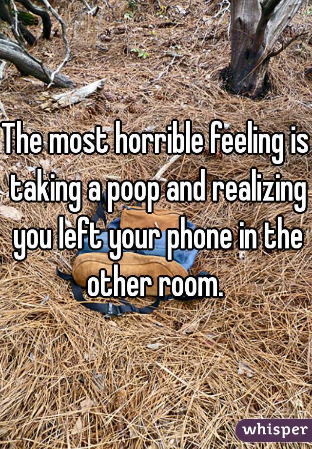 The most horrible feeling is taking a poop and realizing you left your phone in the other room. 