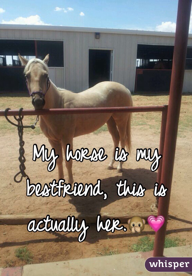 My horse is my bestfriend, this is actually her.🙊💗