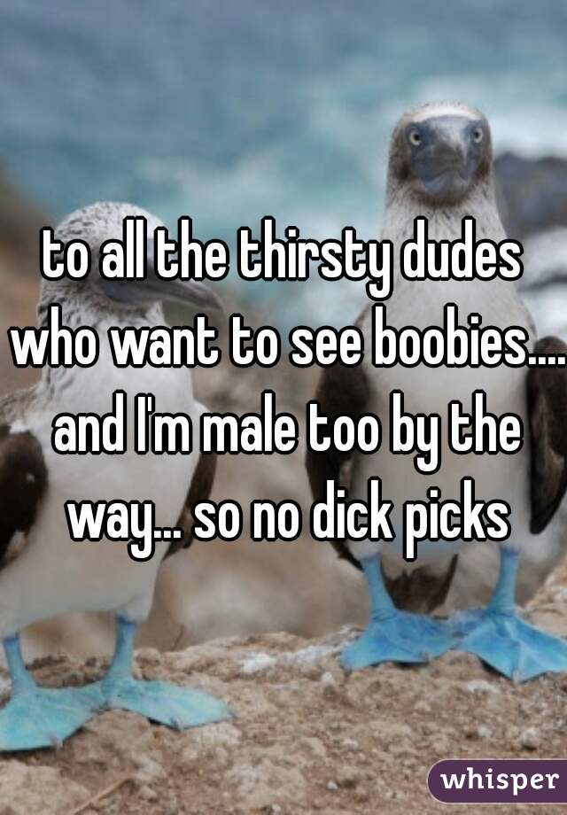 to all the thirsty dudes who want to see boobies.... and I'm male too by the way... so no dick picks