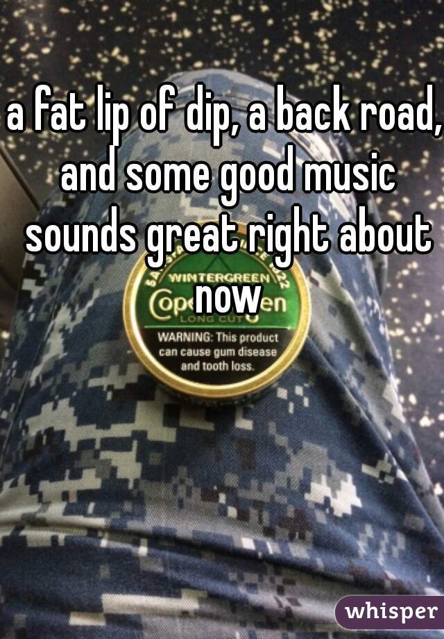 a fat lip of dip, a back road, and some good music sounds great right about now
