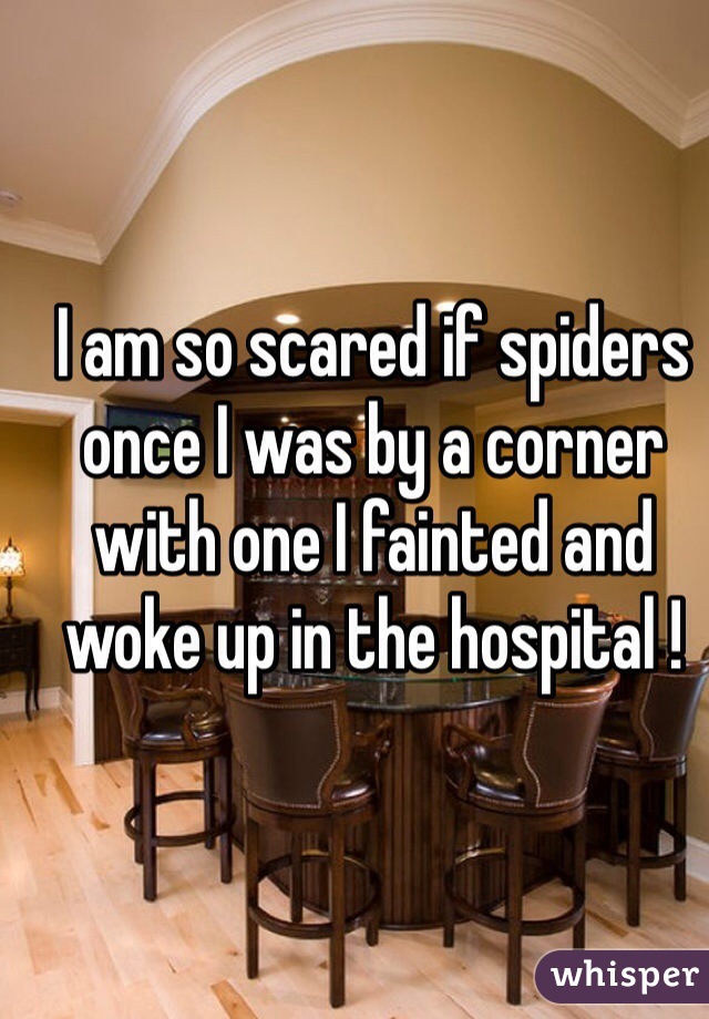 I am so scared if spiders once I was by a corner with one I fainted and woke up in the hospital !