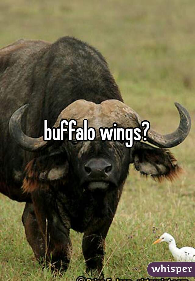 buffalo wings?