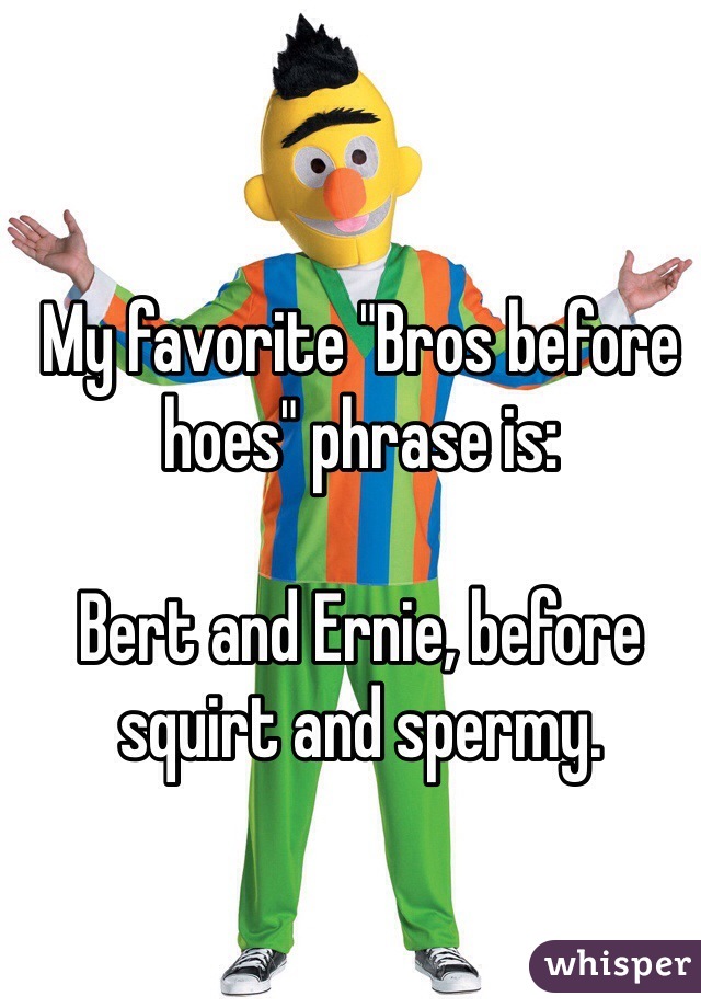 My favorite "Bros before hoes" phrase is:

Bert and Ernie, before squirt and spermy. 