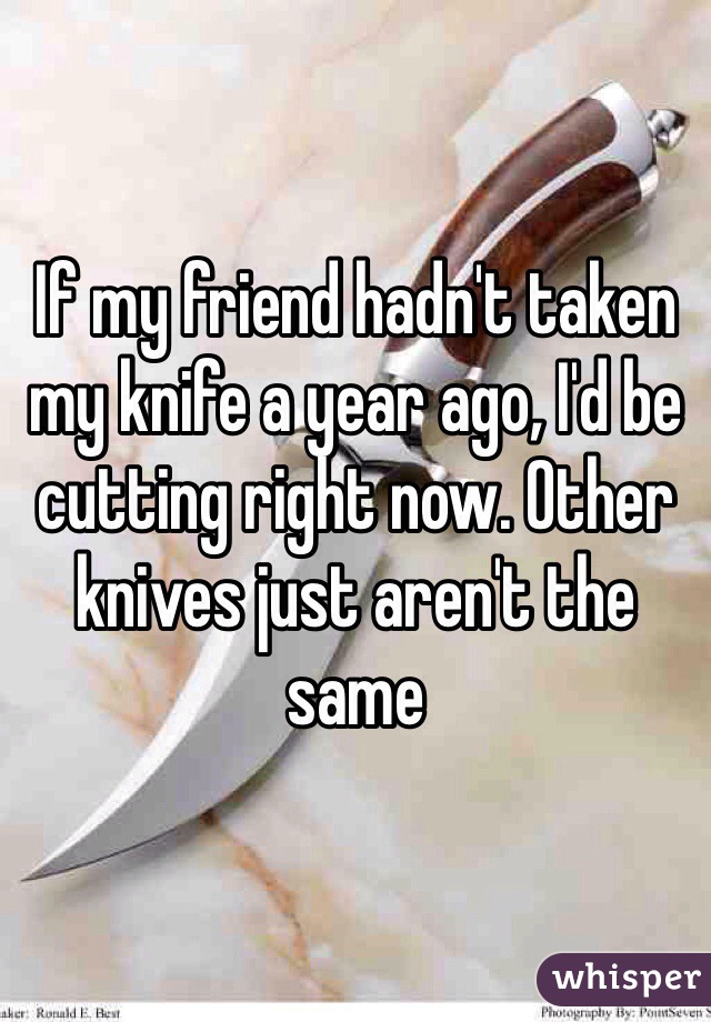 If my friend hadn't taken my knife a year ago, I'd be cutting right now. Other knives just aren't the same