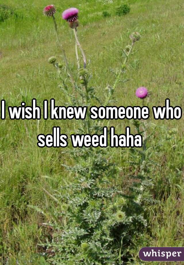 I wish I knew someone who sells weed haha  
