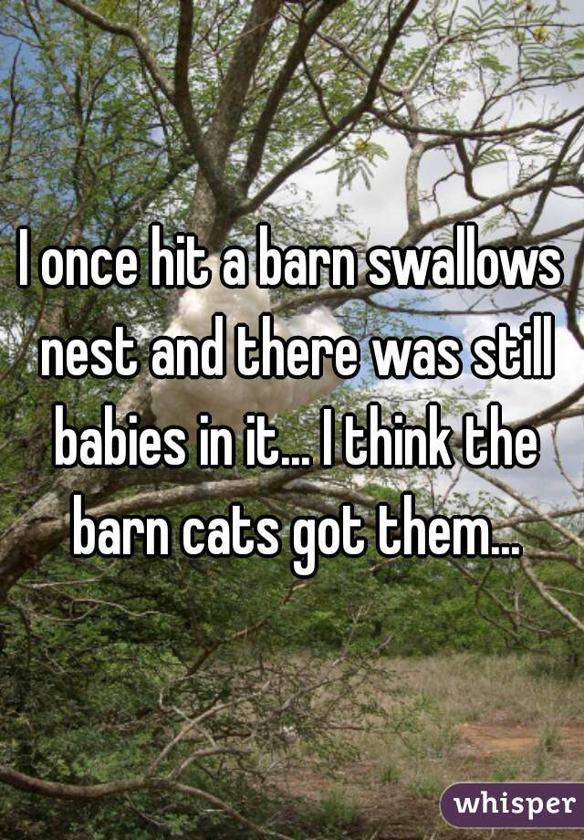 I once hit a barn swallows nest and there was still babies in it... I think the barn cats got them...