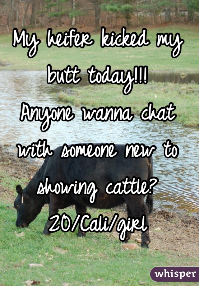 My heifer kicked my butt today!!!
Anyone wanna chat with someone new to showing cattle?
20/Cali/girl