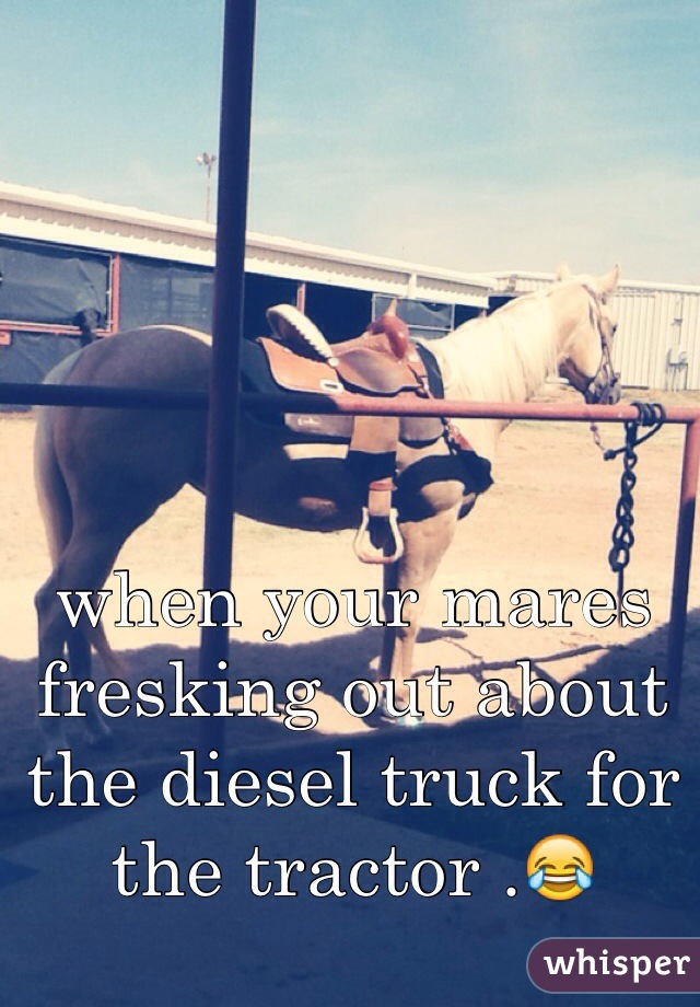 when your mares fresking out about the diesel truck for the tractor .😂