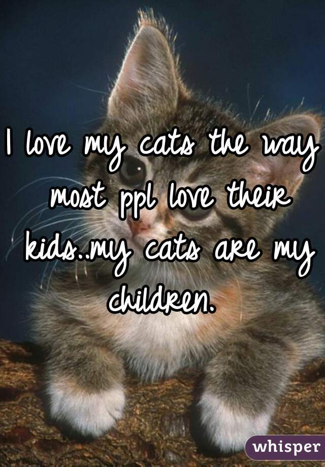 I love my cats the way most ppl love their kids..my cats are my children. 