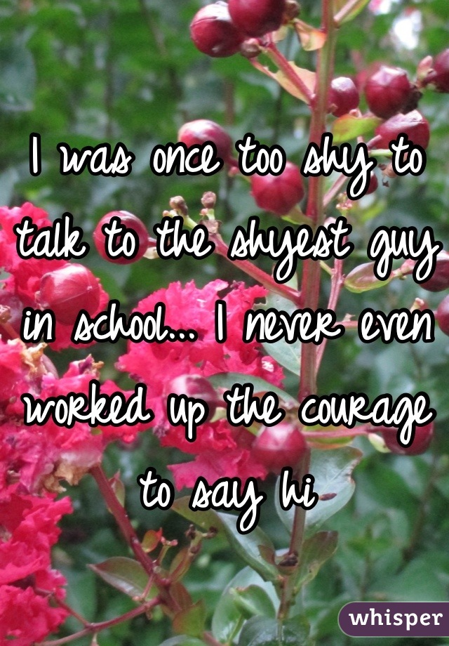 I was once too shy to talk to the shyest guy in school... I never even worked up the courage to say hi