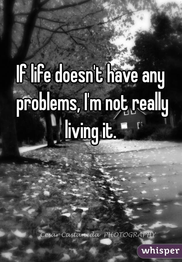 If life doesn't have any problems, I'm not really living it. 