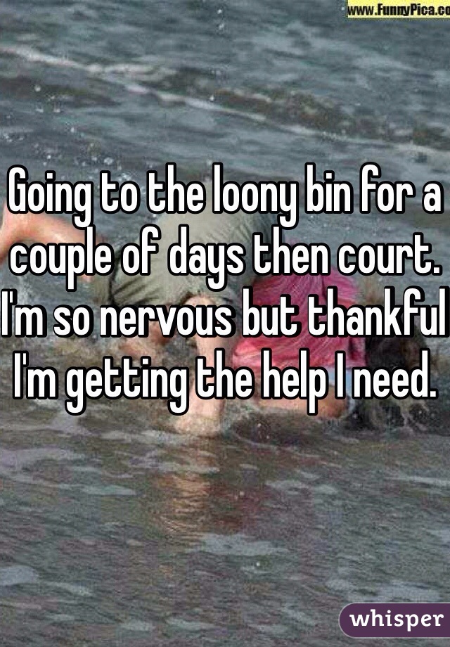 Going to the loony bin for a couple of days then court. I'm so nervous but thankful I'm getting the help I need. 