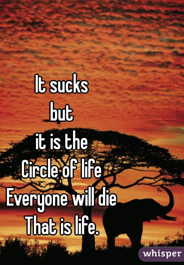 It sucks
but
it is the
Circle of life
Everyone will die
That is life.