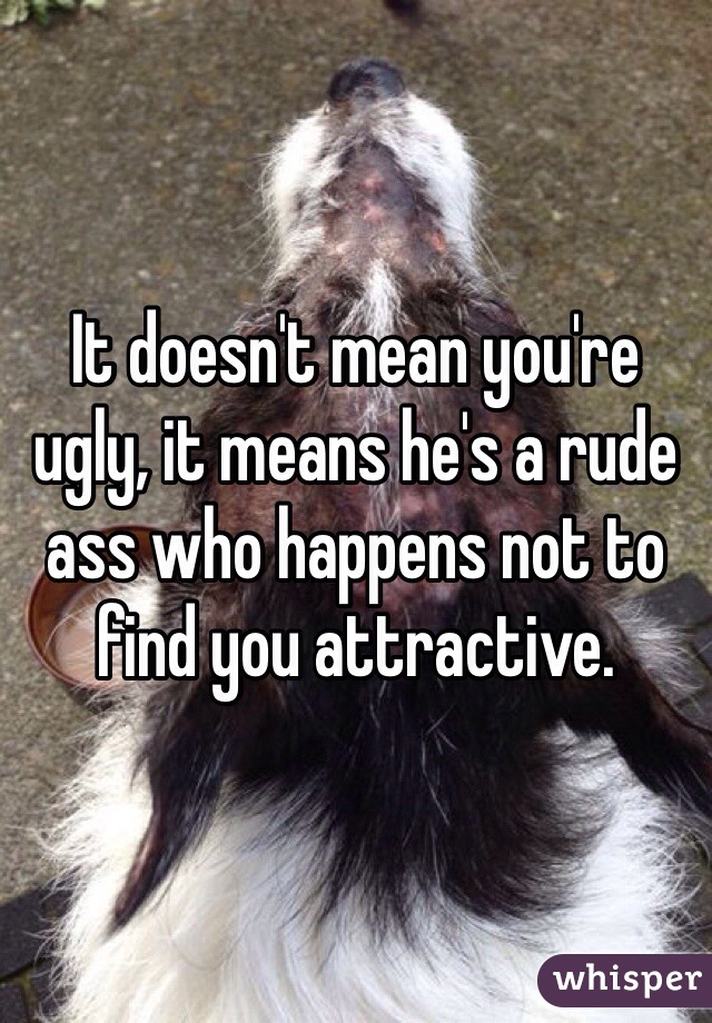 It doesn't mean you're ugly, it means he's a rude ass who happens not to find you attractive. 