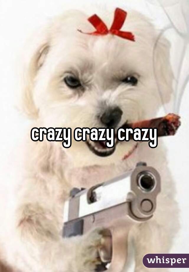 crazy crazy crazy
