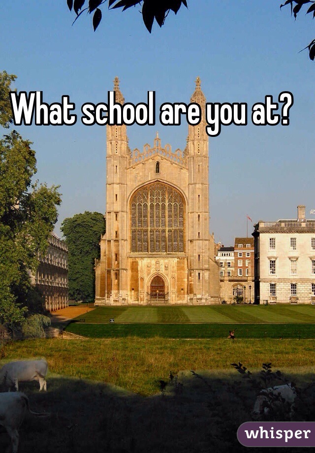 What school are you at?
