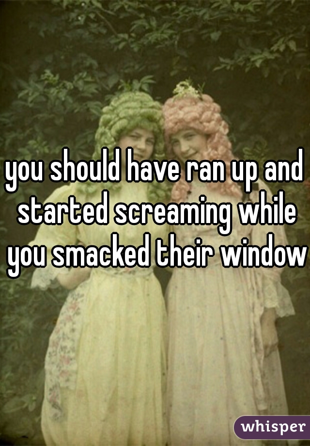 you should have ran up and started screaming while you smacked their window.