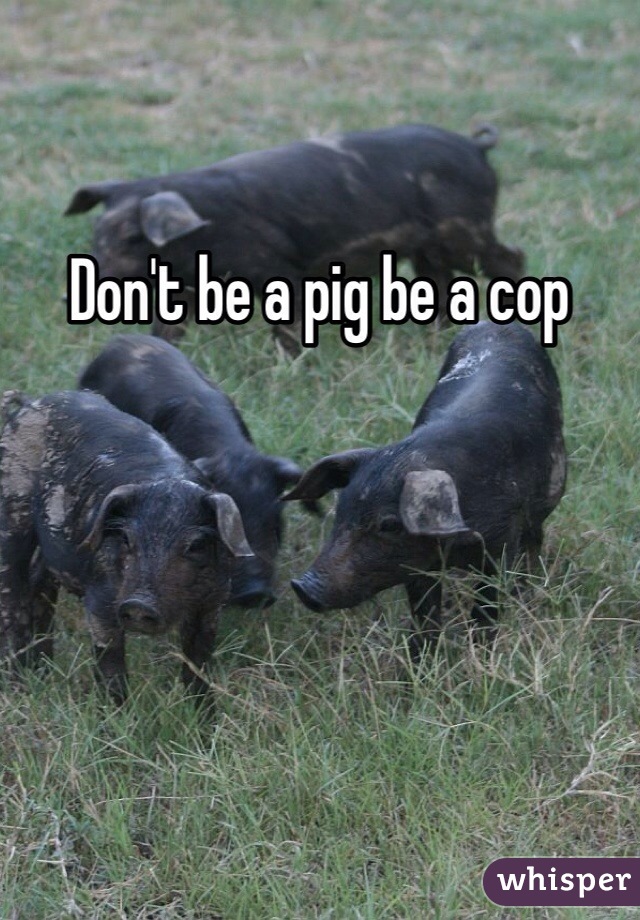 Don't be a pig be a cop