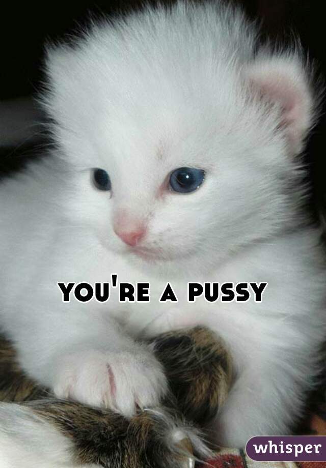 you're a pussy