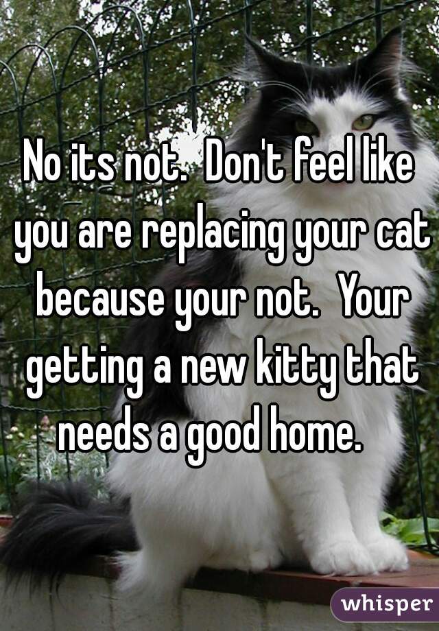 No its not.  Don't feel like you are replacing your cat because your not.  Your getting a new kitty that needs a good home.   