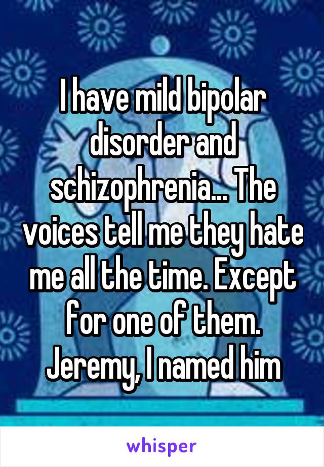 I have mild bipolar disorder and schizophrenia... The voices tell me they hate me all the time. Except for one of them. Jeremy, I named him