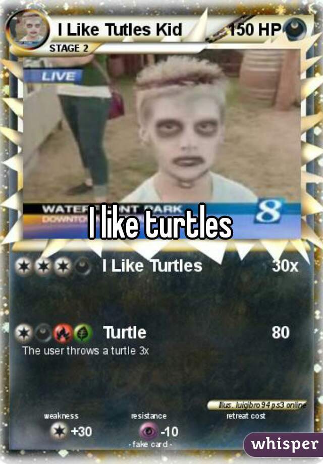 I like turtles