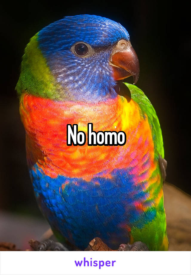 No homo