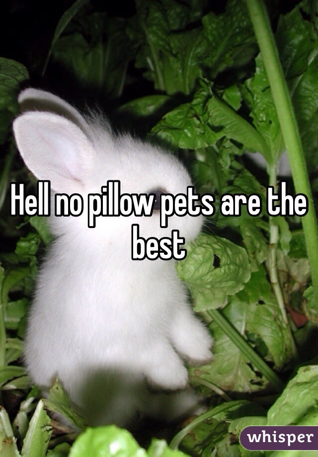 Hell no pillow pets are the best